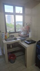 Blk 107 Tiong Bahru Orchid (Bukit Merah), HDB 3 Rooms #520729181